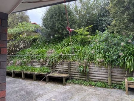 A Real Honey in the Heart of Waiuku - Photo 5