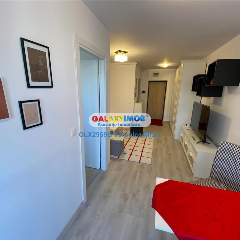 Garsoniera de inchiriat / Hils/ Theodor Pallady - Fotografie 1