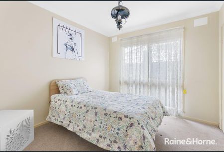 Don't Miss This One! - Photo 5