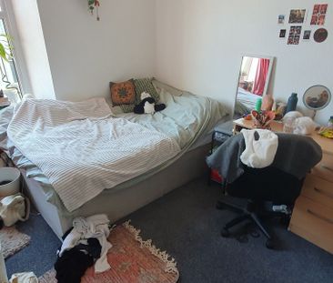 11 (8-BED) Salisbury Road, Cathays, Cardiff, CF24 4AA - Photo 4