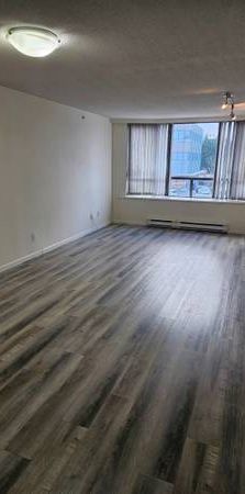 $1980/m 880sq.ft One Bed Room + Solarium/Den (488 West 40th Avenue) - Photo 1