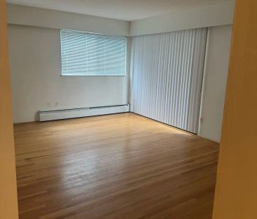Chestnut Apartments — 213 - Photo 4