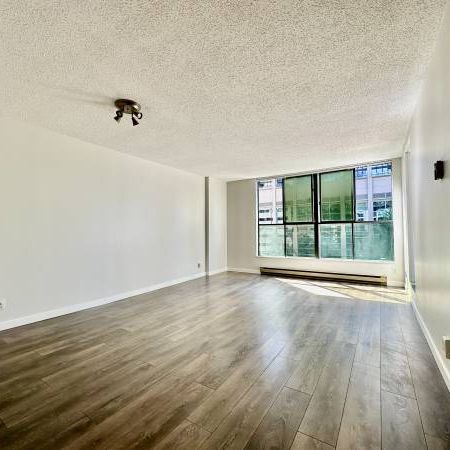 Amazing 1bed/1bath condo - Photo 1