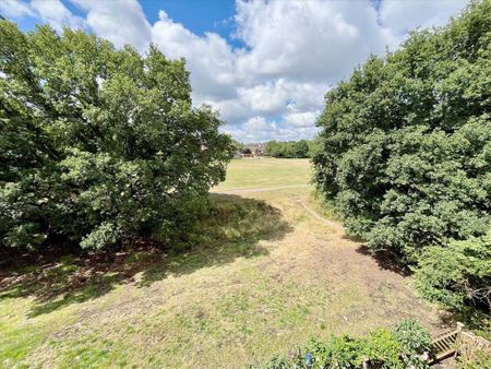 1 bedroom retirement property to rent - Photo 5