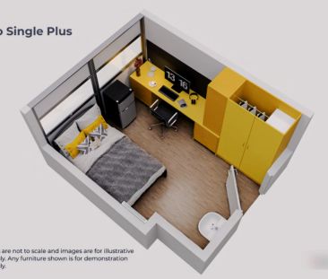 Studio Single Plus - Photo 3