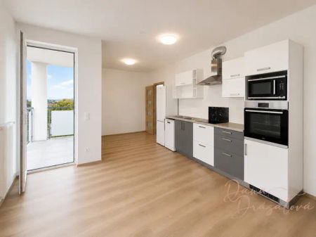 Pronájem panoramatického bytu v novostavbě, 2kk s lodžii, 59 m - Photo 3