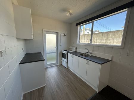 Two bedroom unit on Gloucester! - Photo 4