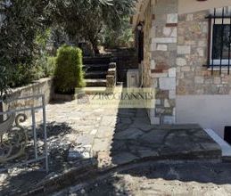 Μονοκατοικία για ενοικίαση - Πεντέλη - Φωτογραφία 6