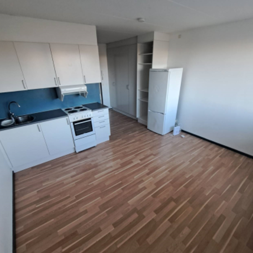 Thomsons väg 28 B, Kryddgården - Foto 1