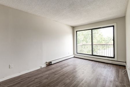 Renovated Suite - 1 Bedroom - Photo 2