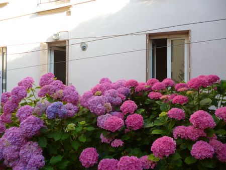 Location Appartement 1 pièce 23m² CLERMONT FERRAND 63000 - Photo 5