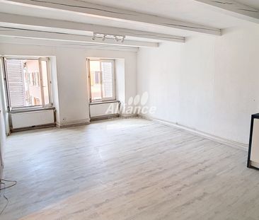 Location Appartement 3 pièces 69m² DELLE 90100 - Photo 1