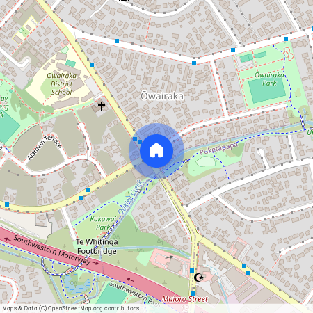 165 Hendon Avenue, Mount Albert, Auckland City