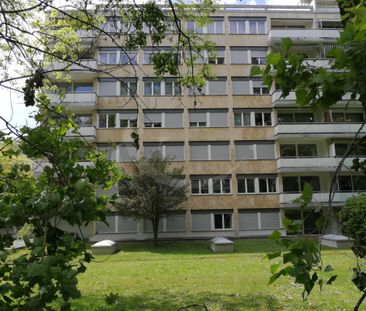 13 Av. Krieg, nice studio of 45 m2 - Photo 4