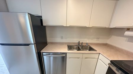 2 Bed Condo For Rent In Mount Pleasant. Undgr. Parking And Storage Included! - Photo 2