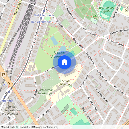 Allenmoosstrasse 56, 8057 Zürich