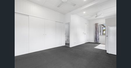 Renovated Spacious One-Bedroom Unit with kitchenette - Photo 4