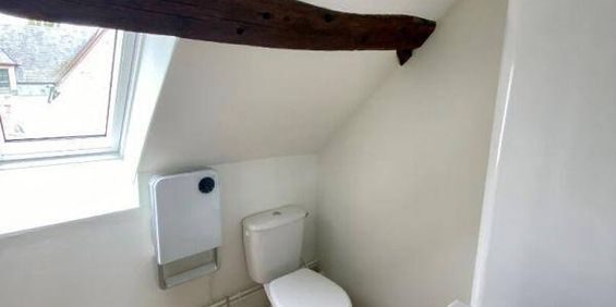 Location appartement studio 1 pièce 21 m² à Gallardon (28320) - Photo 3