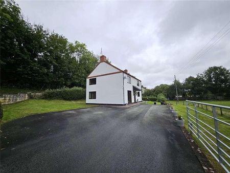 New Mills, Newtown, Powys, SY16 - Photo 5