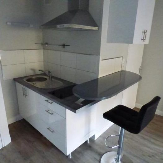 Appartement à louer, 1 pièce - Angers 49100 - Photo 1