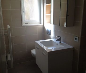 Location Appartement 1 pièce 30m² SALLANCHES 74700 - Photo 4