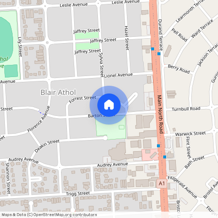 54 Barton Street, SA 5084, Blair Athol