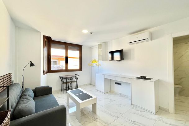1 BEDROOM HOLIDAY APARTMENT - TORREVIEJA - Photo 1