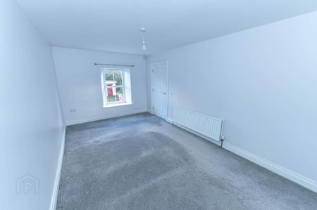 17 Todds Hill, Saintfield, BT24 7AR - Photo 3