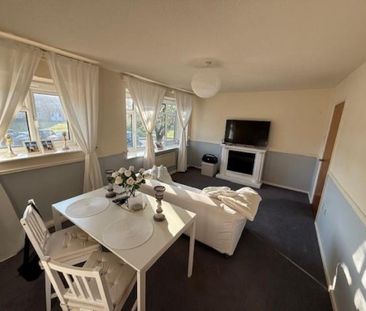 Chesterton Way, Tamworth - Photo 6