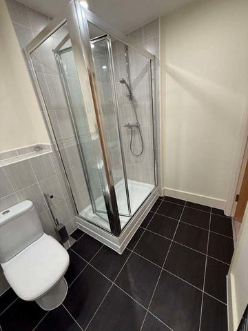 Langley Walk, Birmingham, B15 - Photo 4