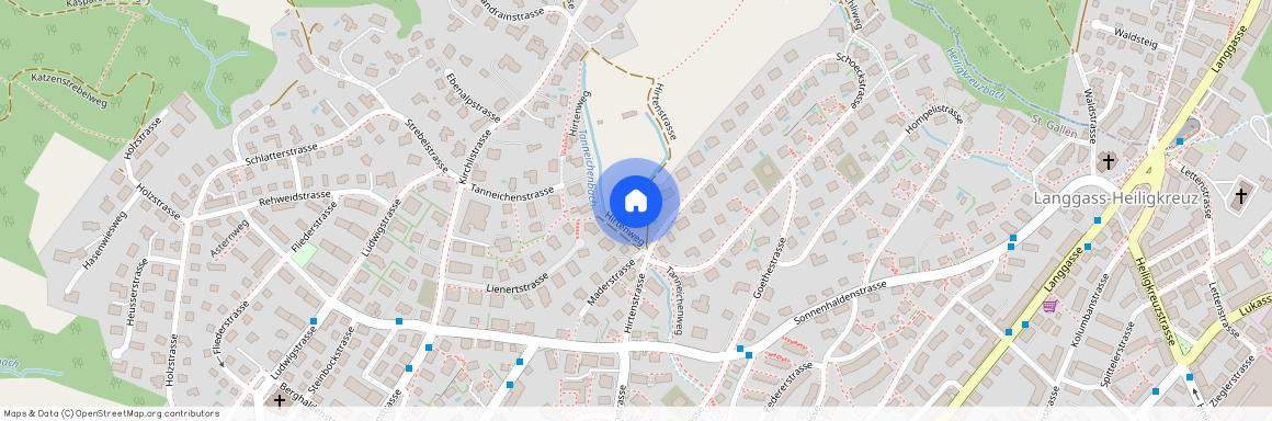 Hirtenstrasse 9, 9008, St. Gallen