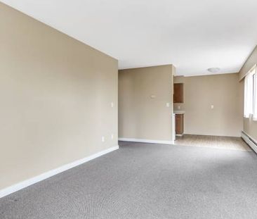 Bachelor Apartment for Rent at Douglas Place - Photo 1