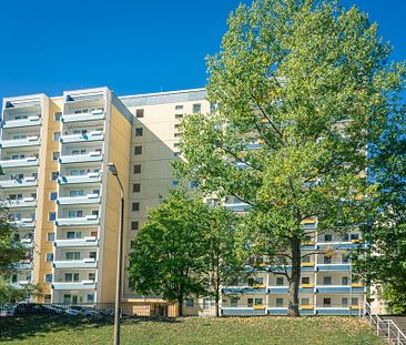 1-Raum-Wohnung mit Weitblick zum Sofortbezug - Foto 4