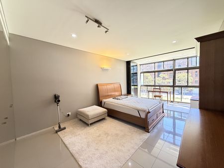 1 Park Lane, Chippendale NSW 2008 - Apartment For Rent | Domain - Photo 2