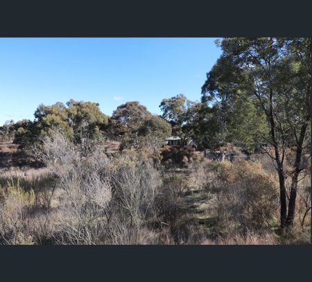 42 Snowgum Lane, Bywong, NSW 2621 - Photo 4