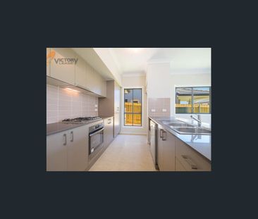 4 bedroom home house for rent in Schofields - Photo 1