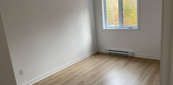 Logement 5 1/2 - Ascenseur - Mars 2026 - Photo 2