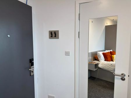 True Studio - Photo 4