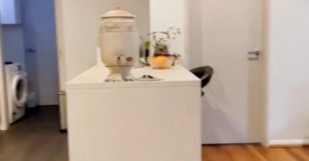 118 joyton ave zetland, Sydney - Photo 2