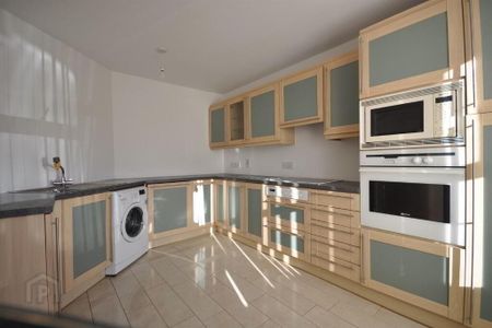 17 Musgrave Park Court, Belfast, BT9 7HZ - Photo 5