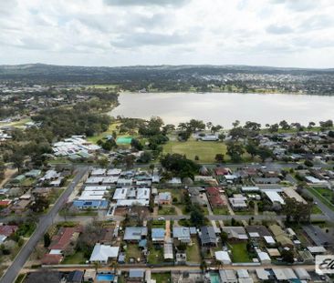 "As rare as hens' teeth" - Photo 2