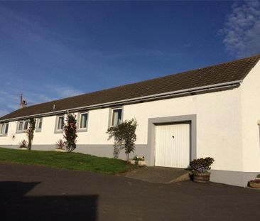 3 bedroom bungalow to rent - Photo 2