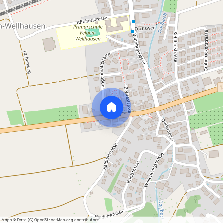 Langenmattstrasse 14, 8552 Felben-Wellhausen