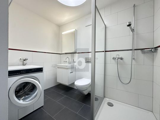 DIRECT LIFT ACCESS WITH LARGE TERRACES - Photo 1