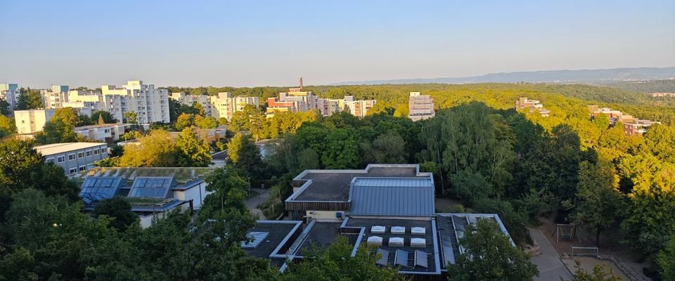 1-Zimmer Wohnung in Tübingen WHO zu vermieten - Foto 1