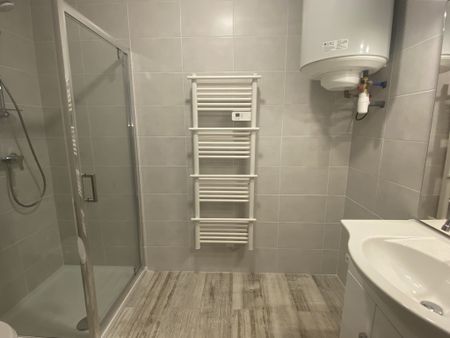 Location Appartement 1 pièce 27m² LE CREUSOT 71200 - Photo 5