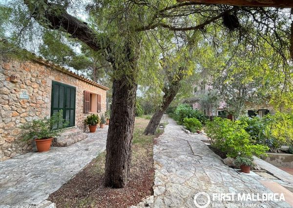 Ctra. Andratx, 11, 07181 Calvià, Illes Balears, Spain, Calvià, Balearic Islands 07181