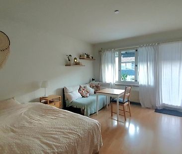 1 Zimmer-Wohnung in Bern - Mattenhof, möbliert, auf Zeit - Photo 2