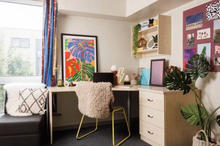 Premium Studio - Photo 5