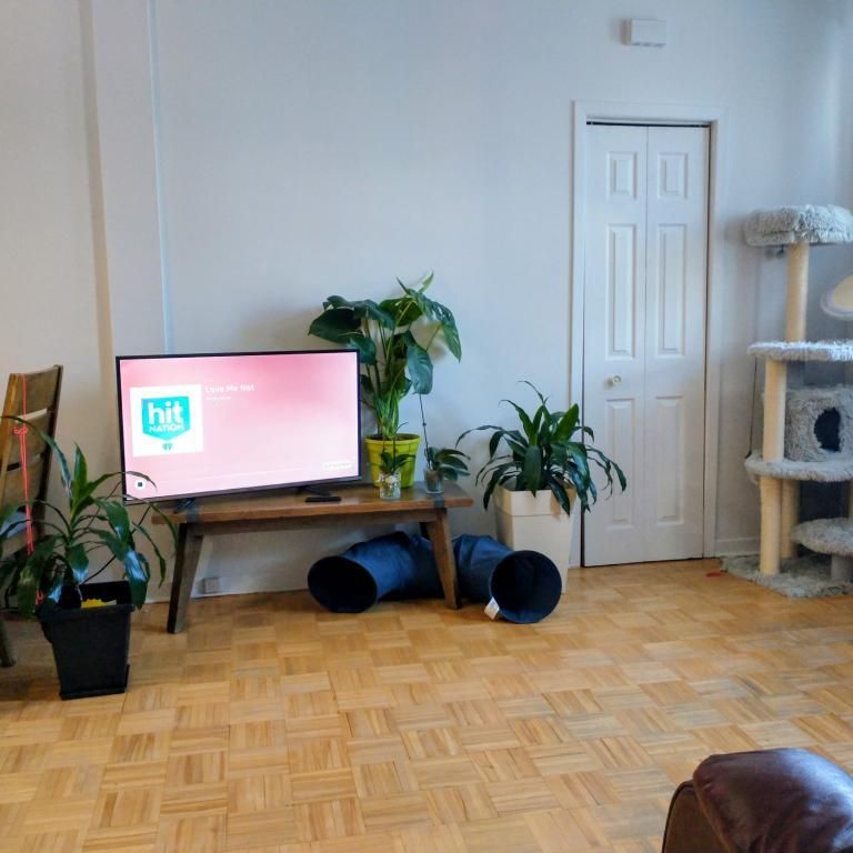 Logement 3 1/2 à Rivière-Rouge - Photo 1